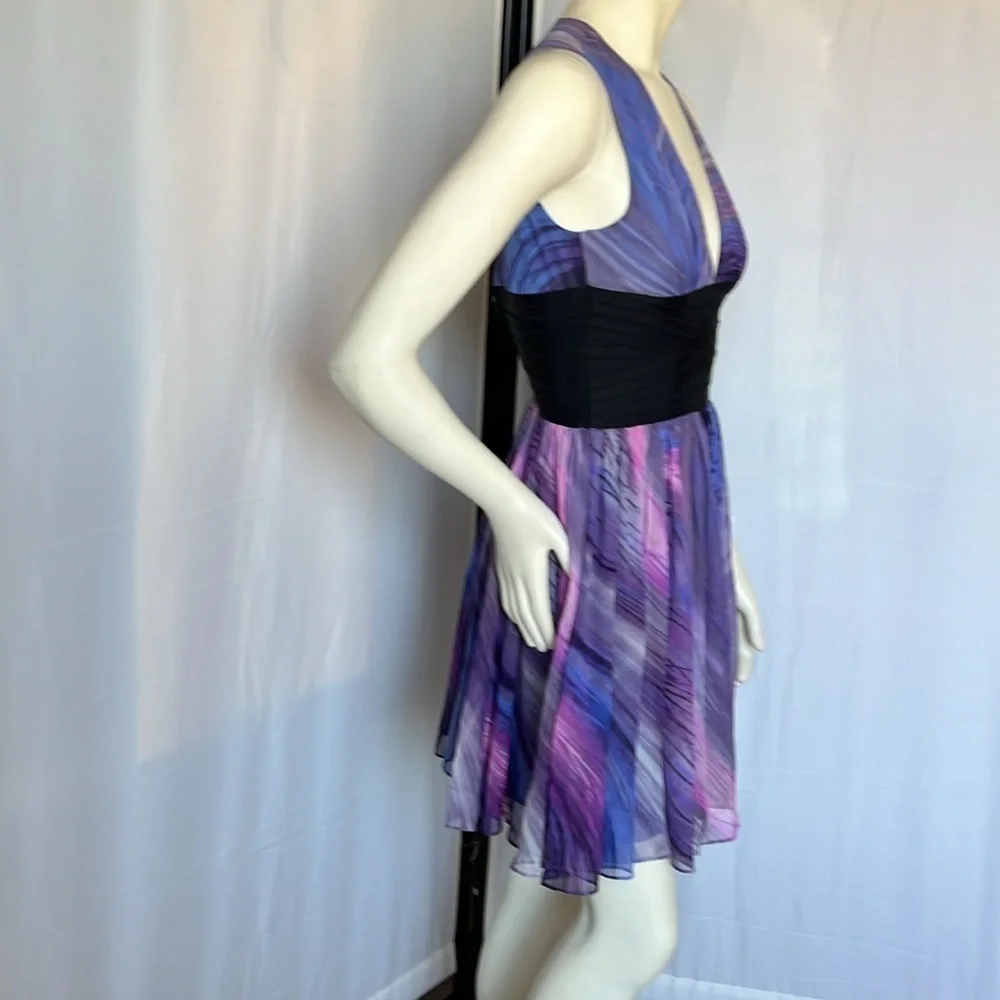Elizabeth and James Purple Jana Silk Cocktail Dress